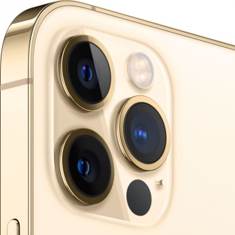 iPhone 12 Pro Max 512GB (золотой)