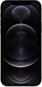 iPhone 12 Pro 512GB (графитовый)