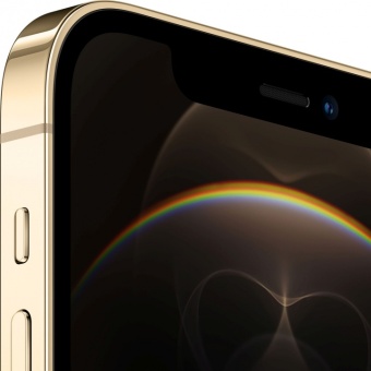 iPhone 12 Pro 512GB (золотой)