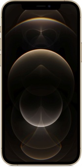iPhone 12 Pro Max 128GB (золотой)